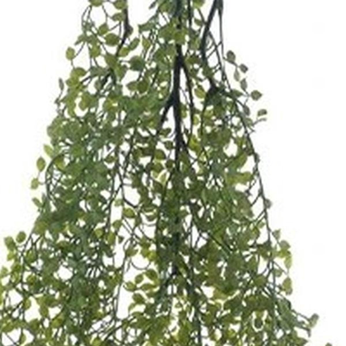 Erutan avon - Hanging button leaf dk green 95 cm