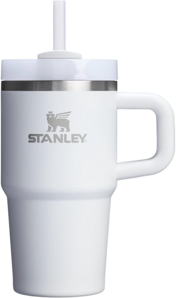 STANLEY Quencher H2.0 Tumbler 20 oz – Frost | RVS Drinkbeker met Handvat & Rietje | 3-Stand Flowstate Deksel | Reisbeker | Cup Holder Compatibel | Geïsoleerd & BPA-Vrij