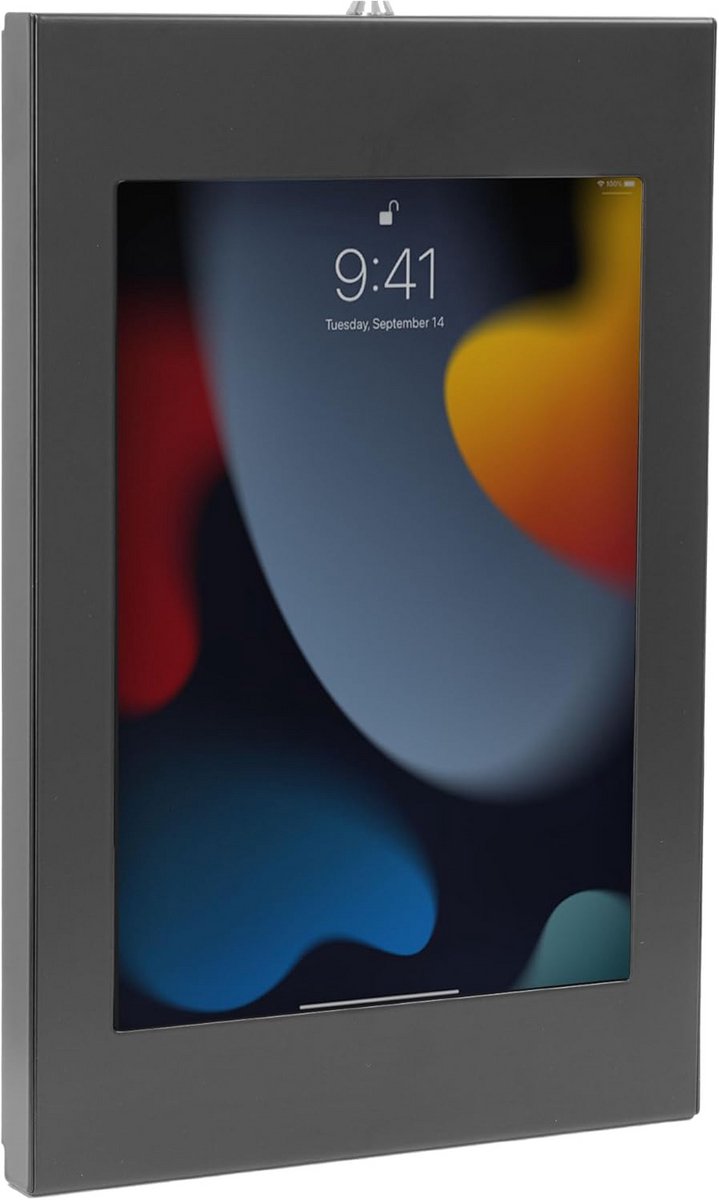 Universele Anti-Diefstal Tablet Wandhouder voor iPad 10.9/10.2/11 inch