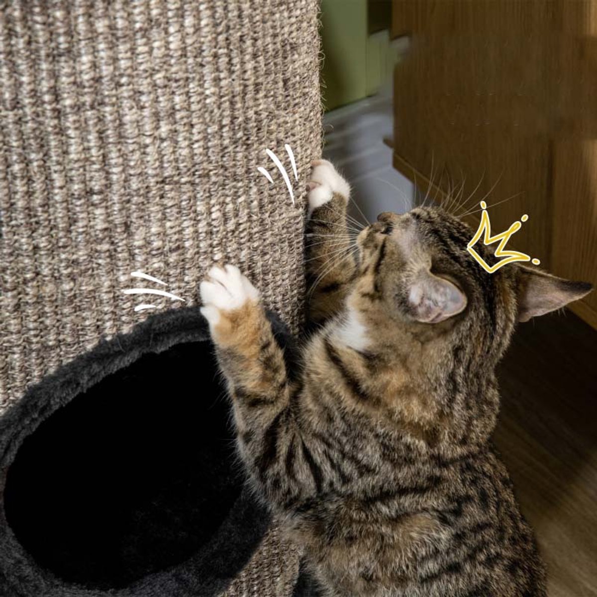 Kattenkrabton Drie lagen ontwerp Groot krasbestendig sisal oppervlak Zachte comfortabele rustzone Modern stijlvol ontwerp Stevig duurzaam houten frame Biedt katten veilige klim- en speelruimte 38x38x70cm Grijs thumbnail 2