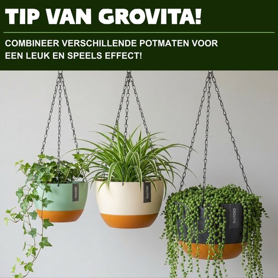 Pot suspendu avec drainage - Zwart - Ø 24 cm x H 15 cm - Convient également comme pot de fleurs - Pour l'intérieur et l'extérieur - Réservoir d'eau