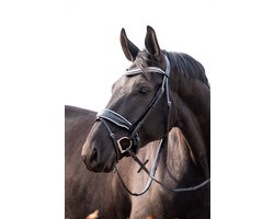 HB Hoofdstel It is So Special Zwart/Zilver - Full | Rood | Hoofdstel paard