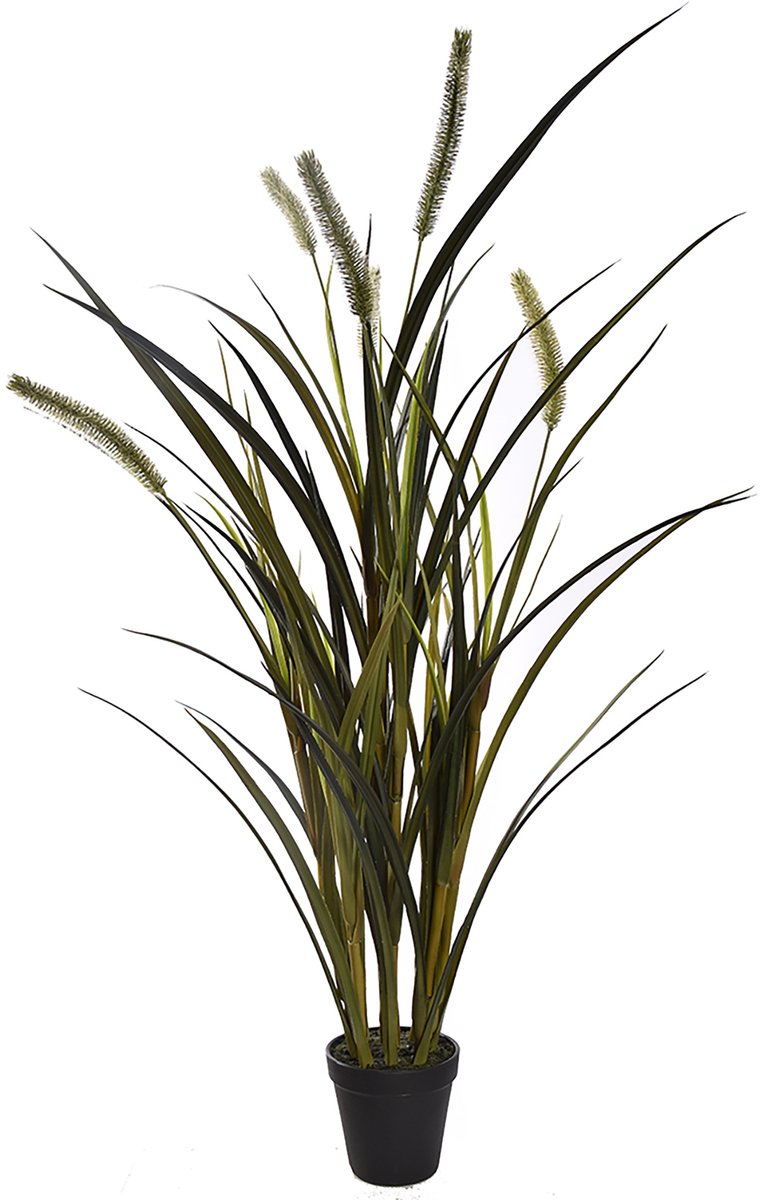 Pure Royal gras 86cm groen