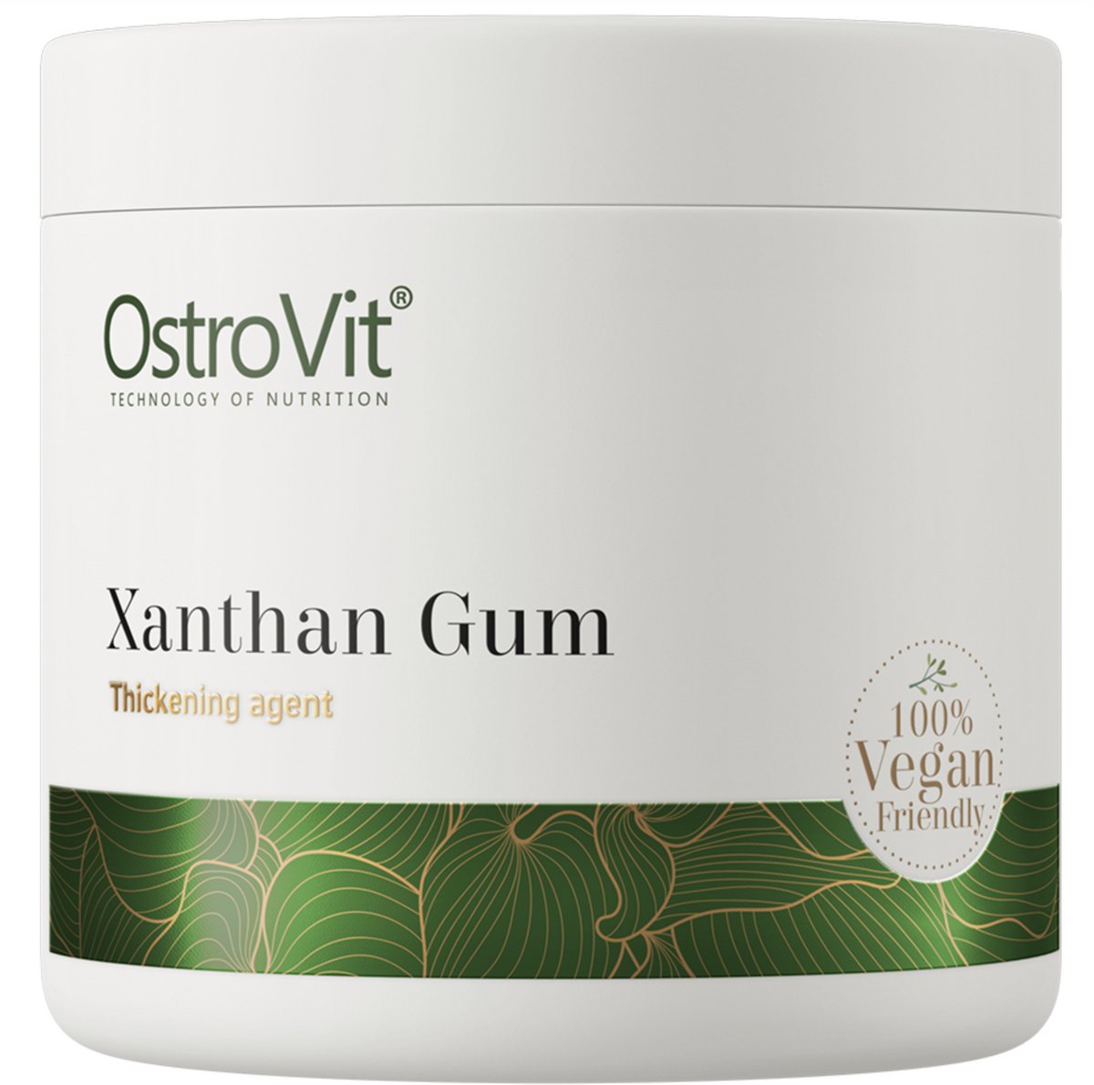 Xanthan Gum 200 g natural Xanthaangom E415