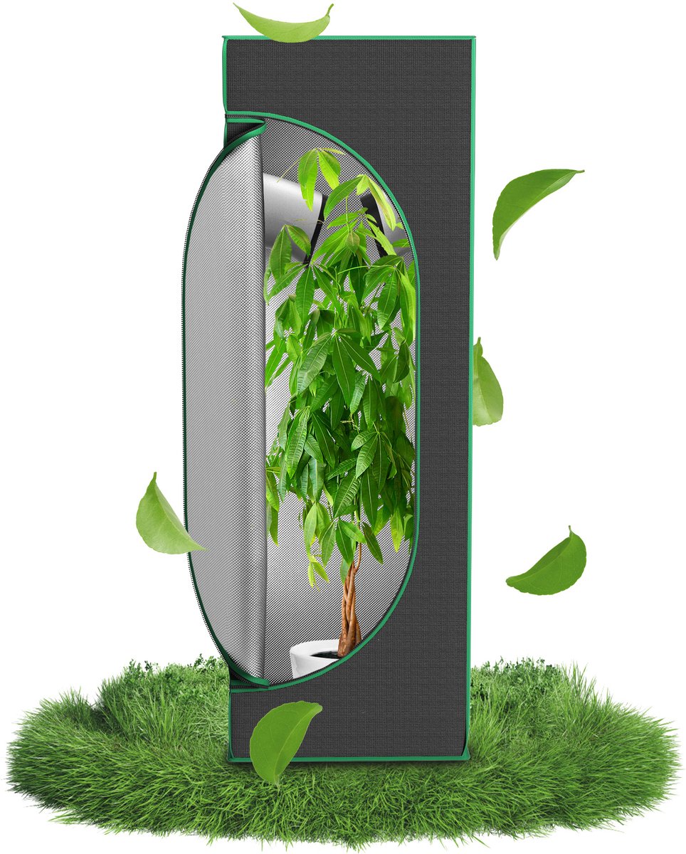 Aufun Grow Tent - 40x40x120 cm – Complete Kweektent voor Binnenkweek – Kweekkasten voor Homegrow van Kruiden, Groenten en Planten
