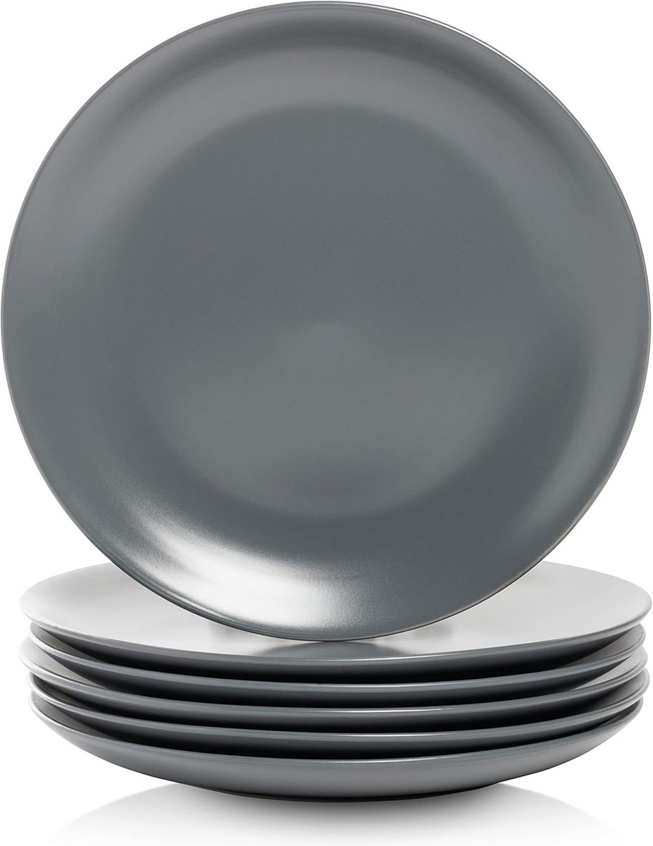 Set van 6 Matte Coupe Dinerborden 26,7 cm Houtskoolgrijs