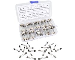 Assortiment Snelwerkende Glaszekeringen 250V voor Diverse Elektrische Apparaten