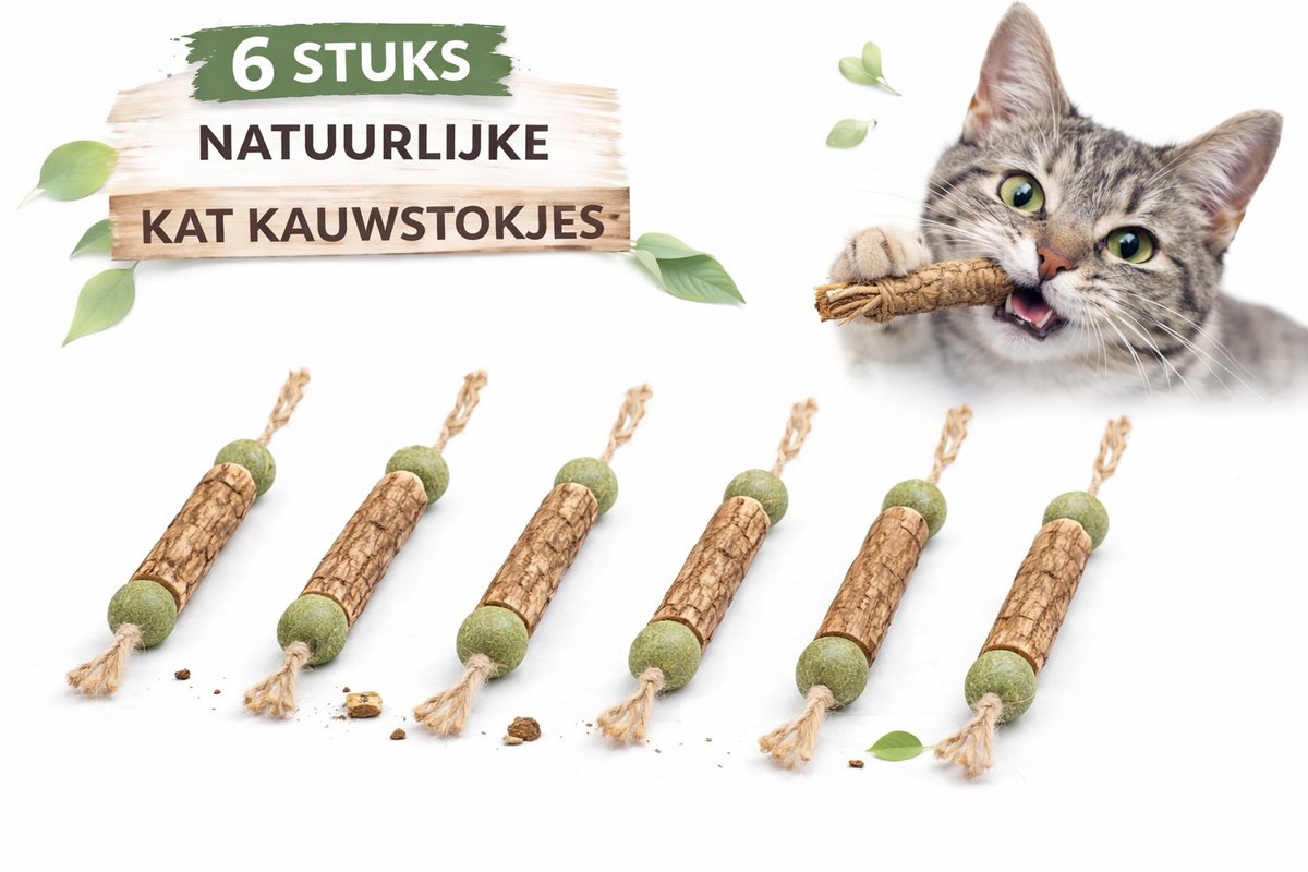 6 Stuks Natuurlijke Kauwstokjes voor Katten – Catnip Speelgoed – Gebitsverzorging, Frisse Adem & Kattenspeeltje voor Kitten en Kat