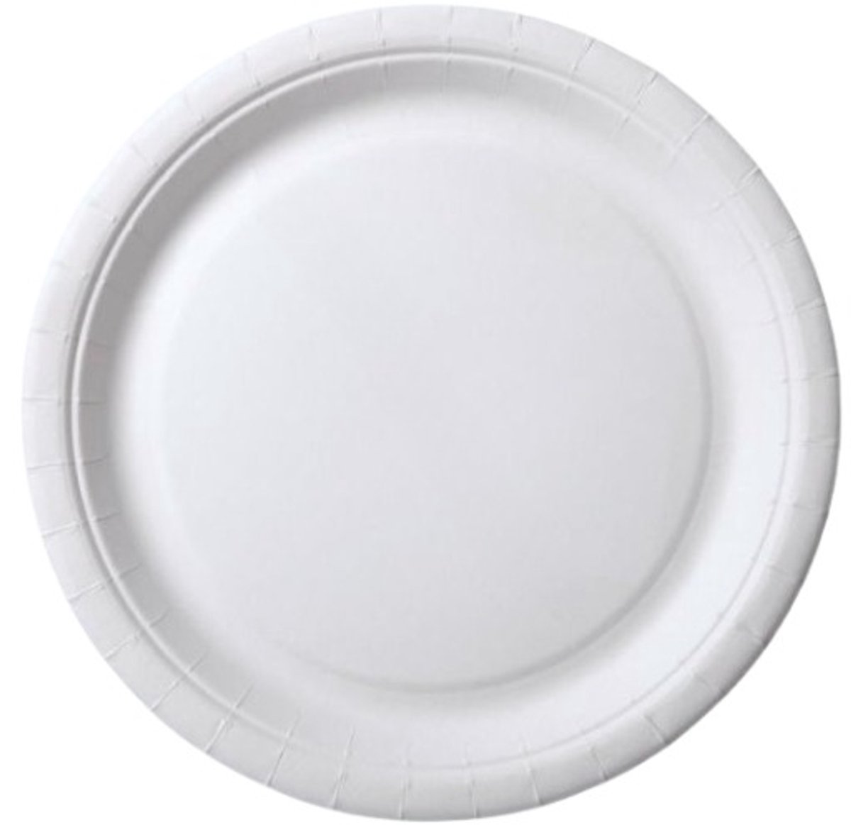 Kartonnen wegwerp borden – Wit – 23 cm – 20 stuks – Wegwerpservies