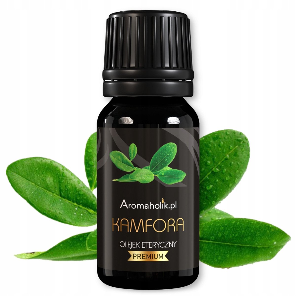 Aromaholik - Kamfer Etherische Olie - Natuurlijke Essentiële Olie - Verfrissend - Ontspannend