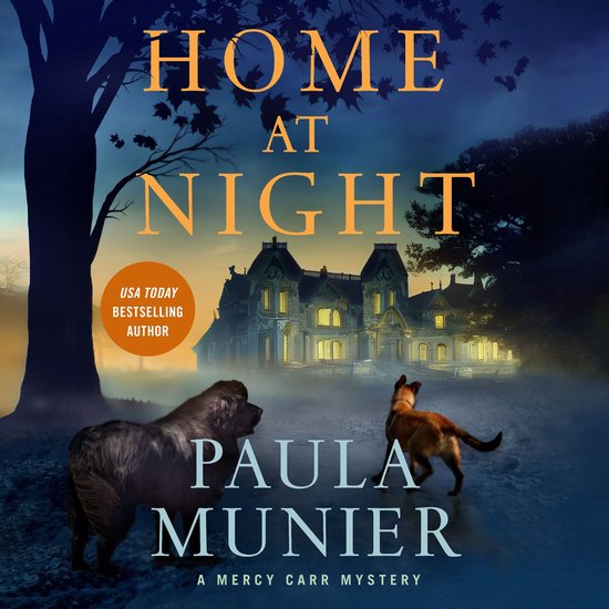 Home at Night - cover