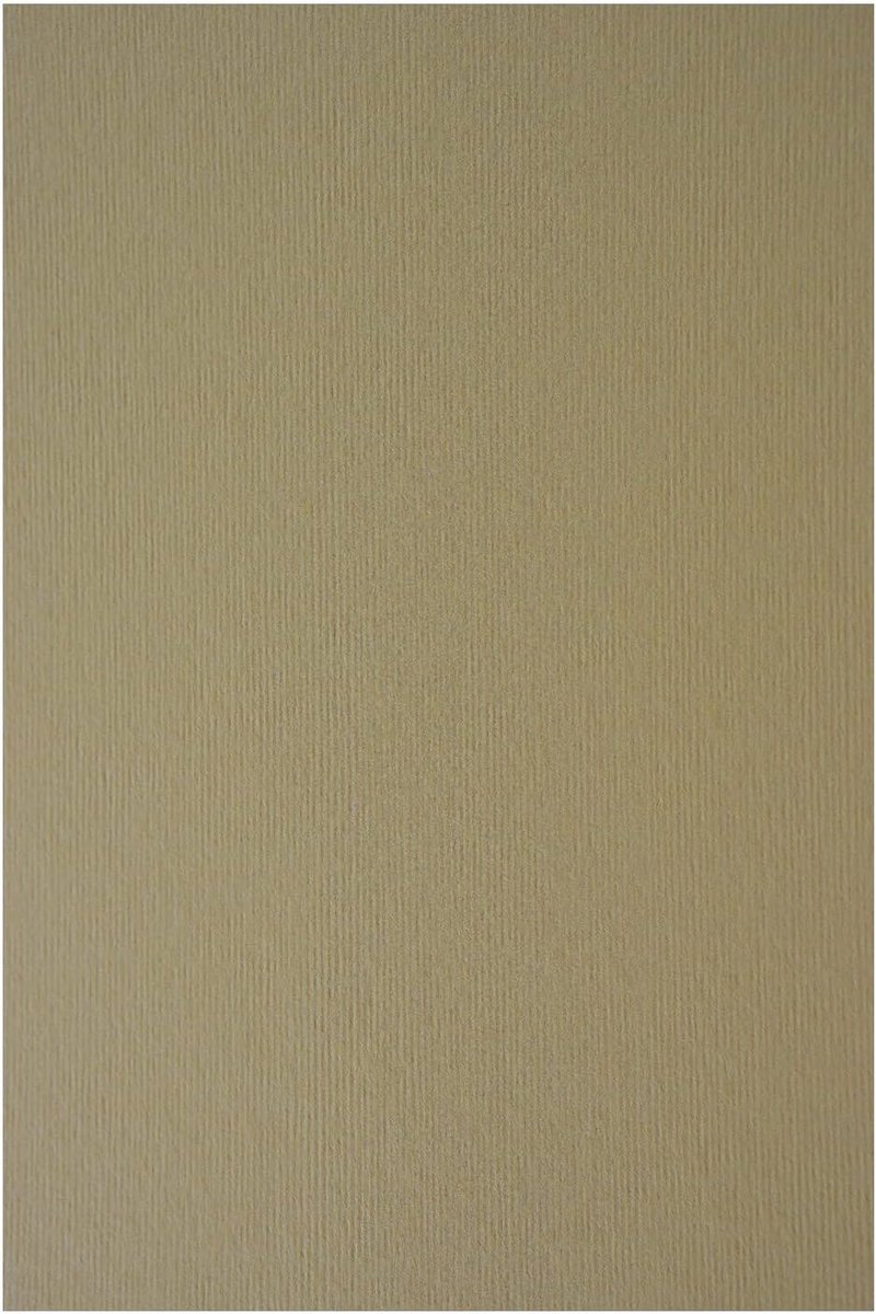 Karton Structuurpapier - Geribbeld Papier - Kaarten Maken - 100 Vel A4 - 21x297cm - Lichtgrijs