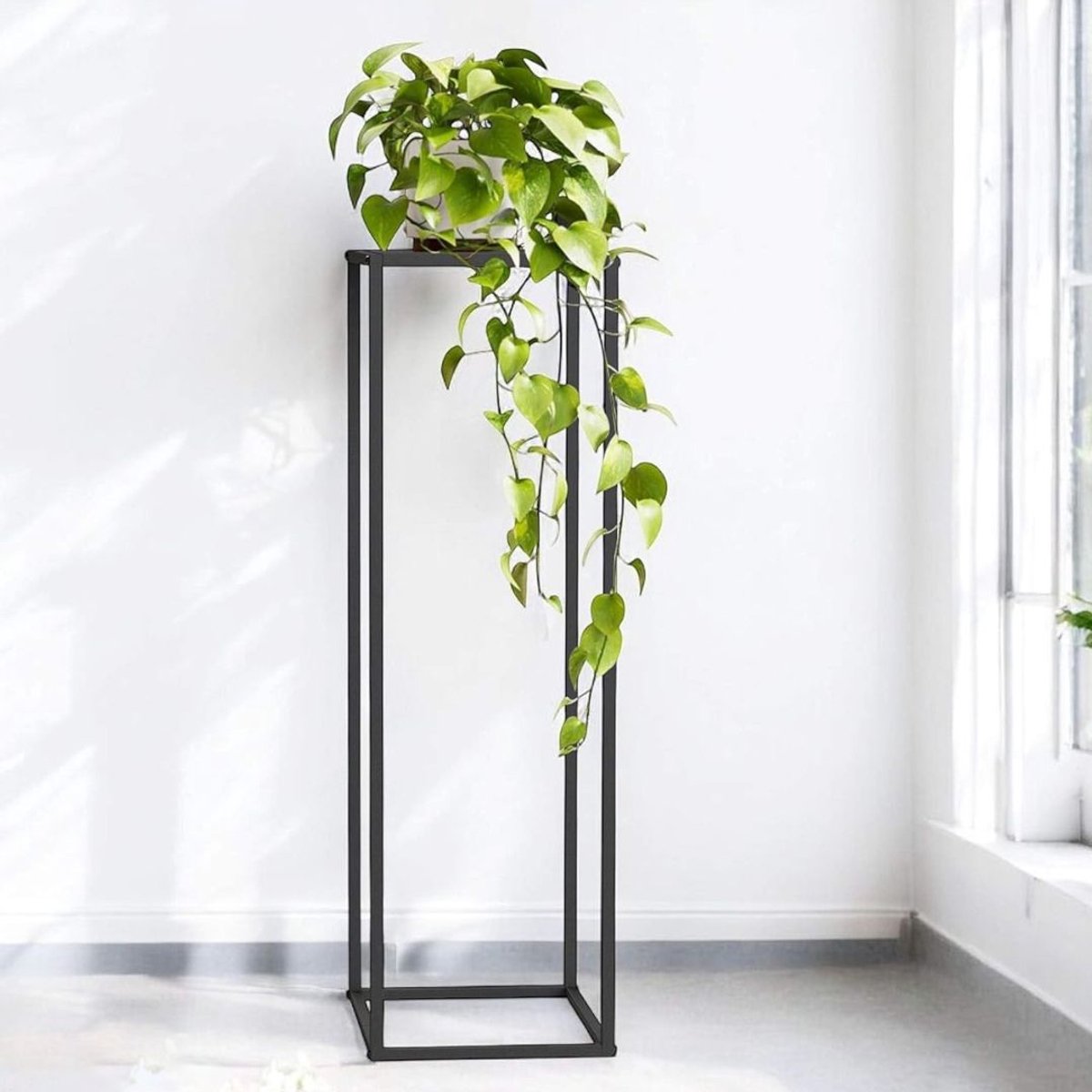 CLVP® Plantentafel - Plantenrek Buiten - Plantensteun - Plantenstandaard - Zwart