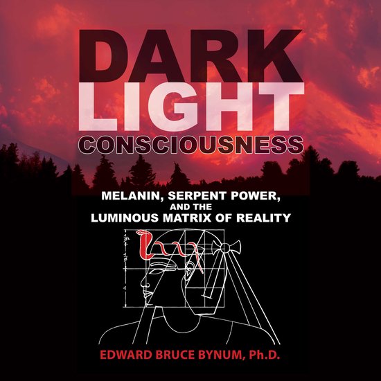 Dark Light Consciousness - cover