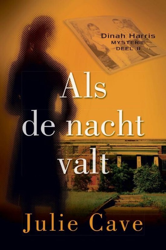 Dinah Harris-mysteries 2 - Als de nacht valt 2 - cover
