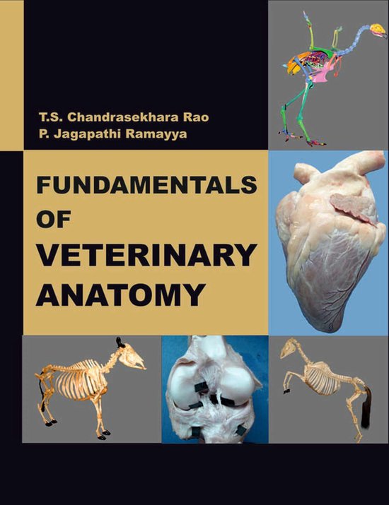 Fundamentals of Veterinary Anatomy - cover