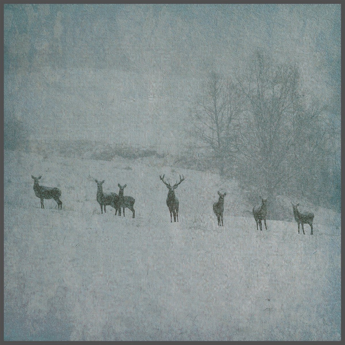 Rauhnacht - Winterstille (LP)