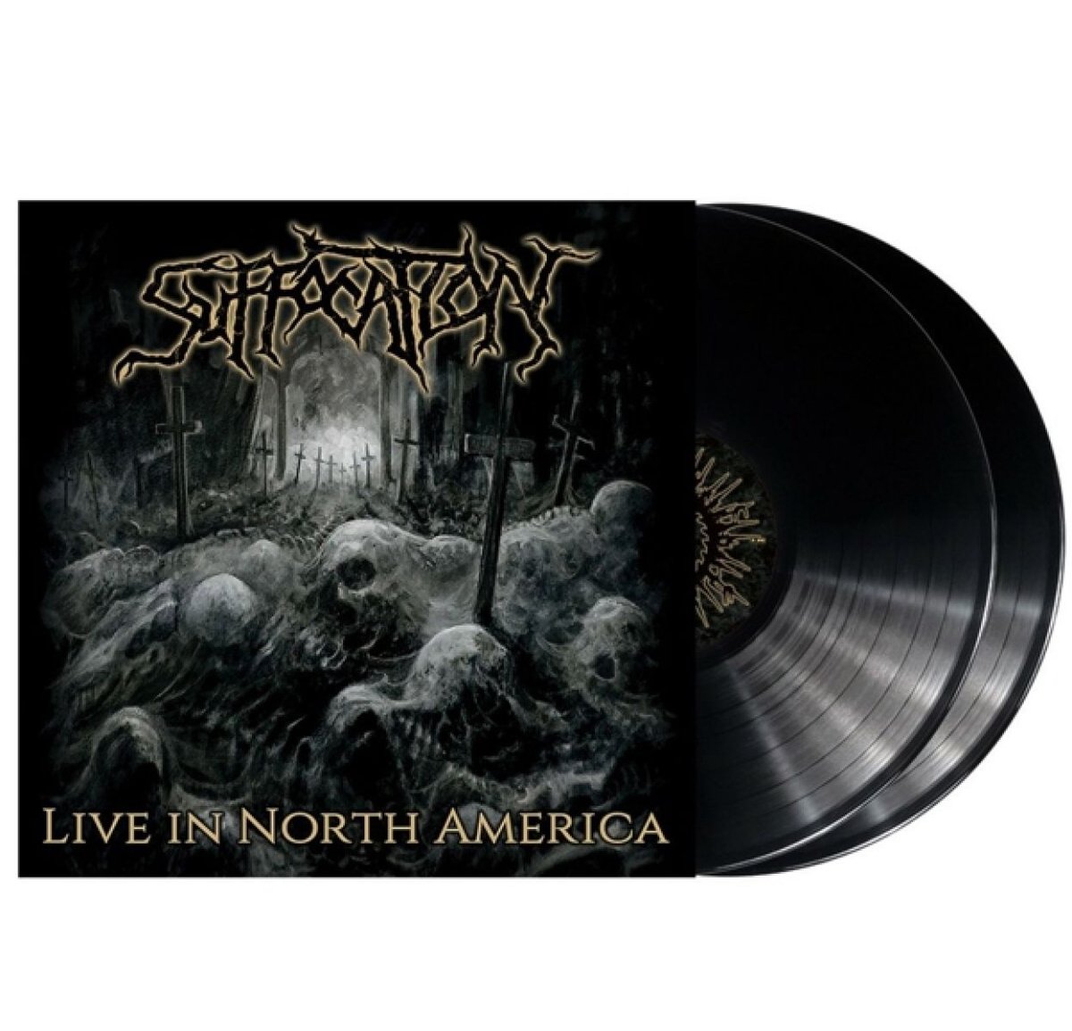 Live in North America