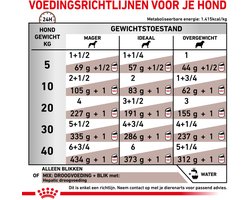 Royal Canin - Hondenvoer Nat Hepatic - 12 x 200 gr