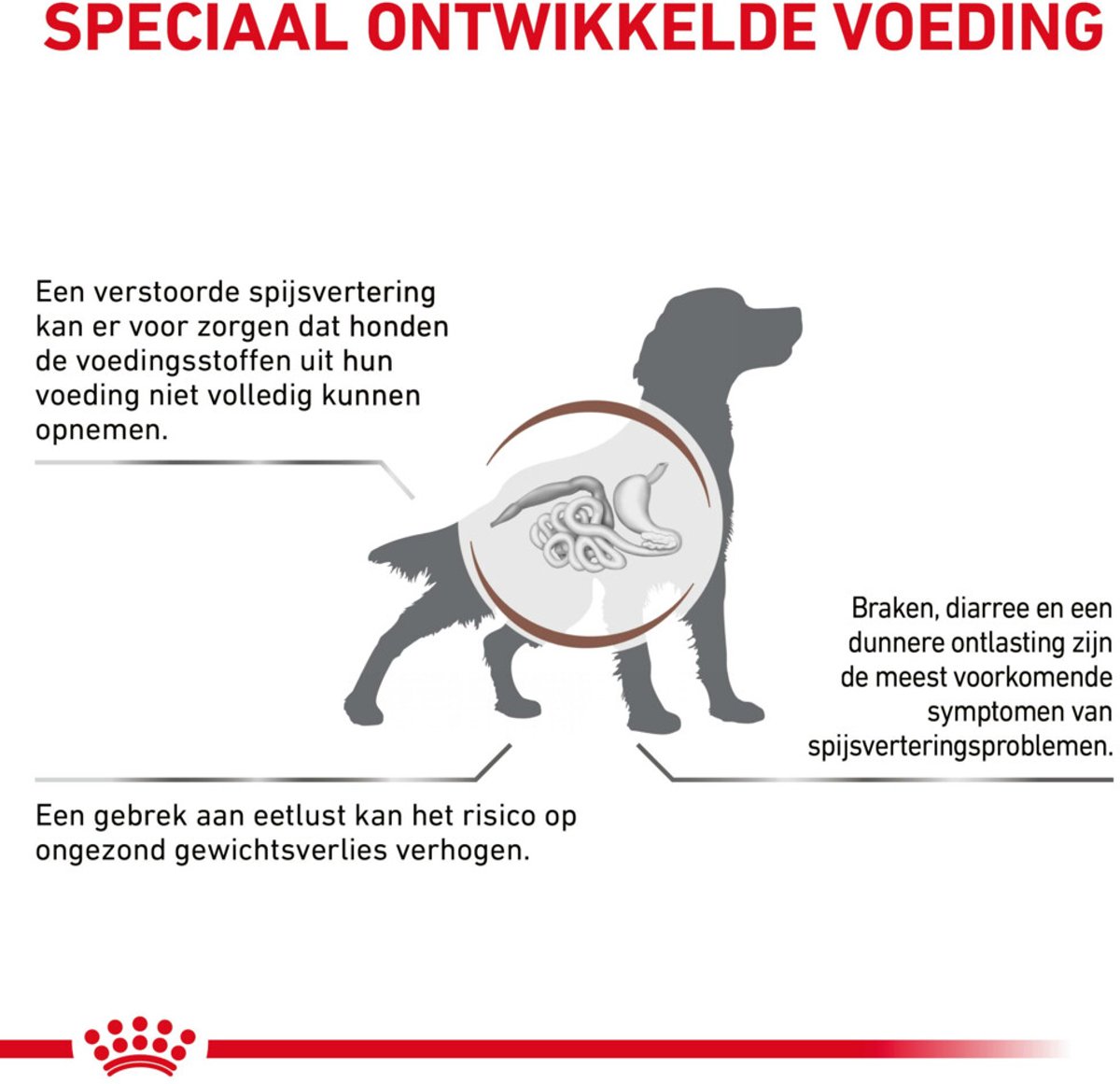 Royal Canin Gastro Intestinal - Hondenvoer thumbnail 2