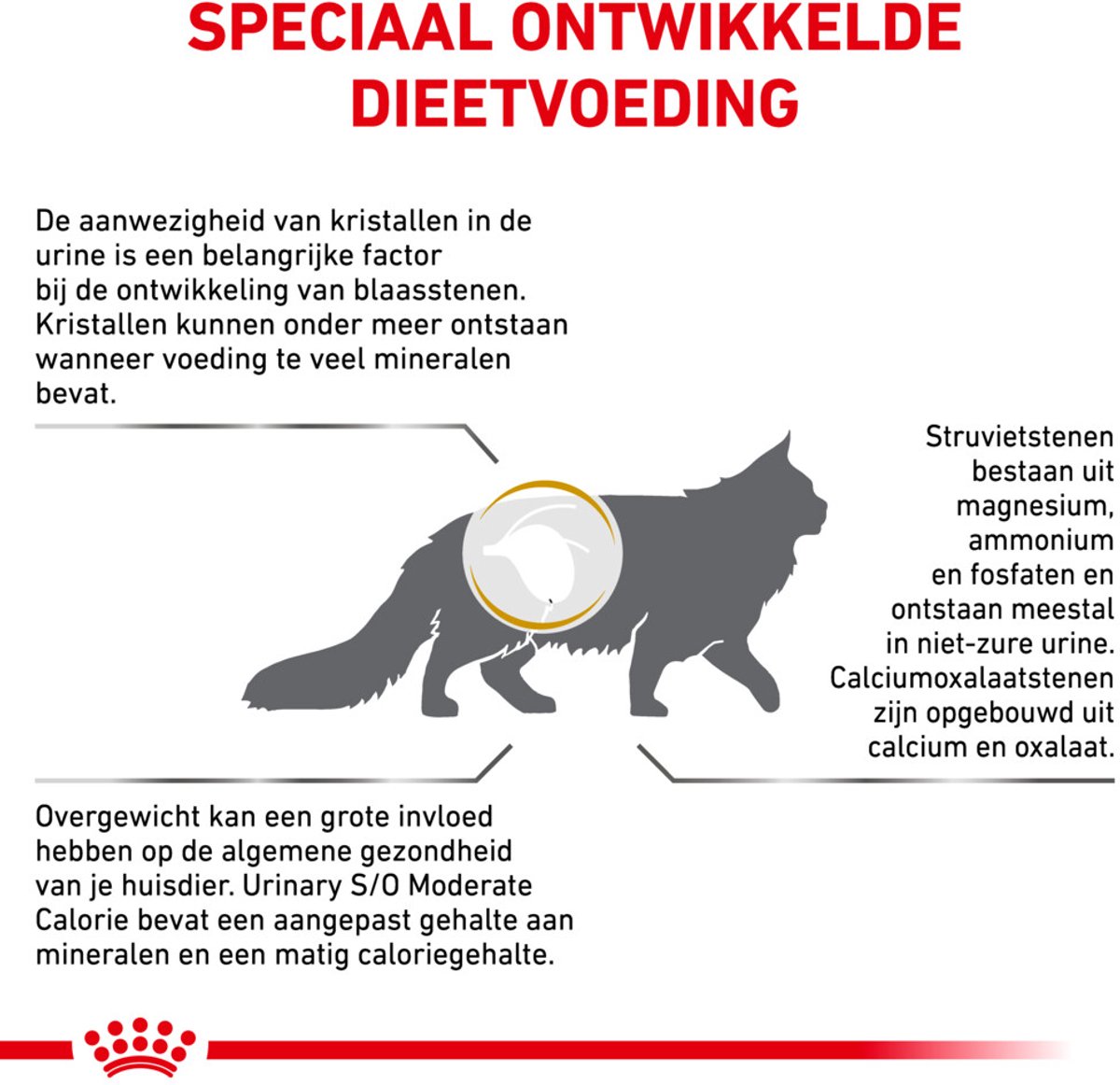 Royal Canin Urinary S/O Moderate Calorie - Kattenvoer - 6 kg thumbnail 4