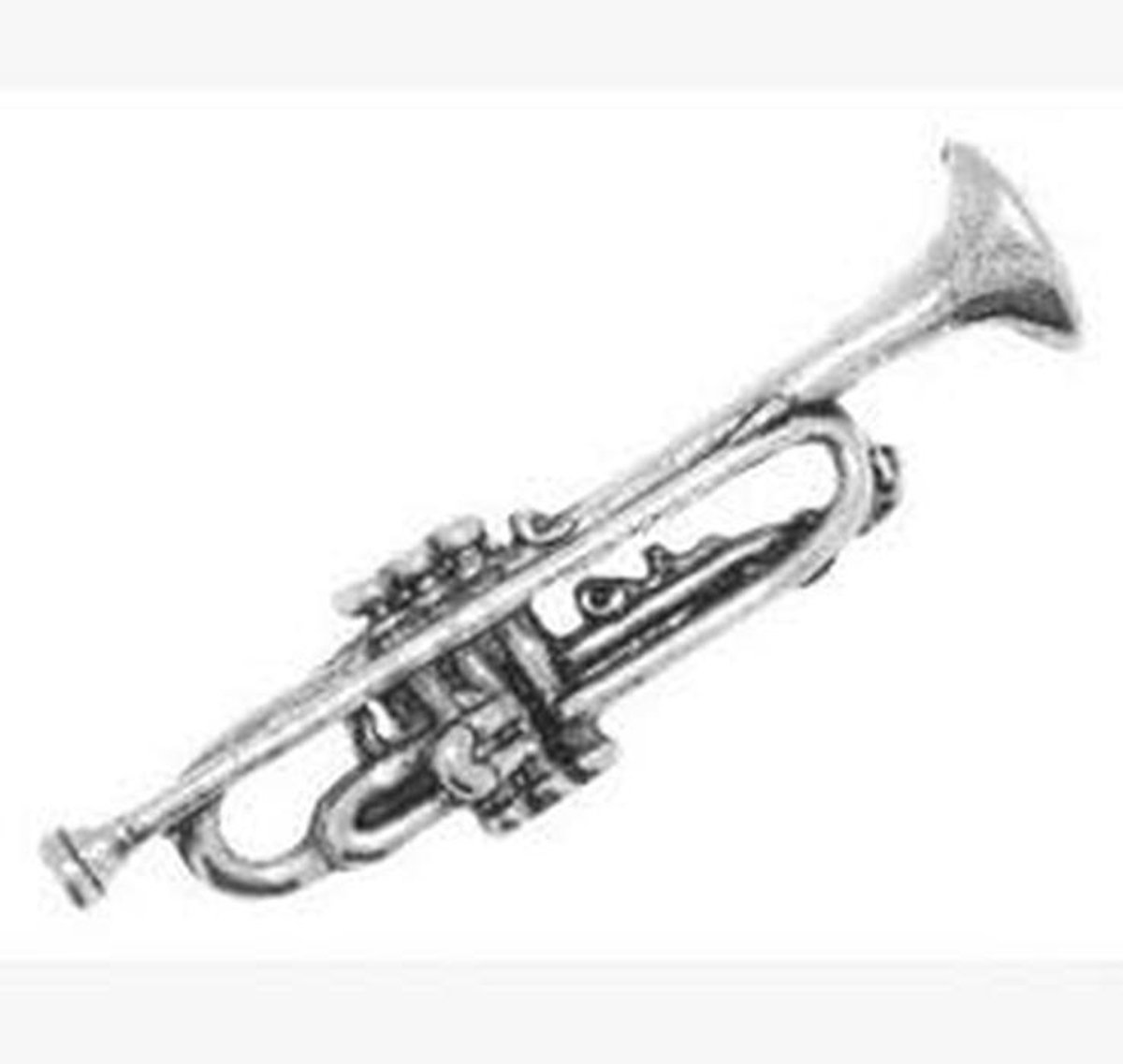 Trompet Speldje Muzikant Geschenkdoos - Mooie Broche Zilverkleurig