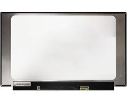 LCD Scherm geschikt voor MSI Raider GE66 12UGS-018BE 15,6" (360Hz)