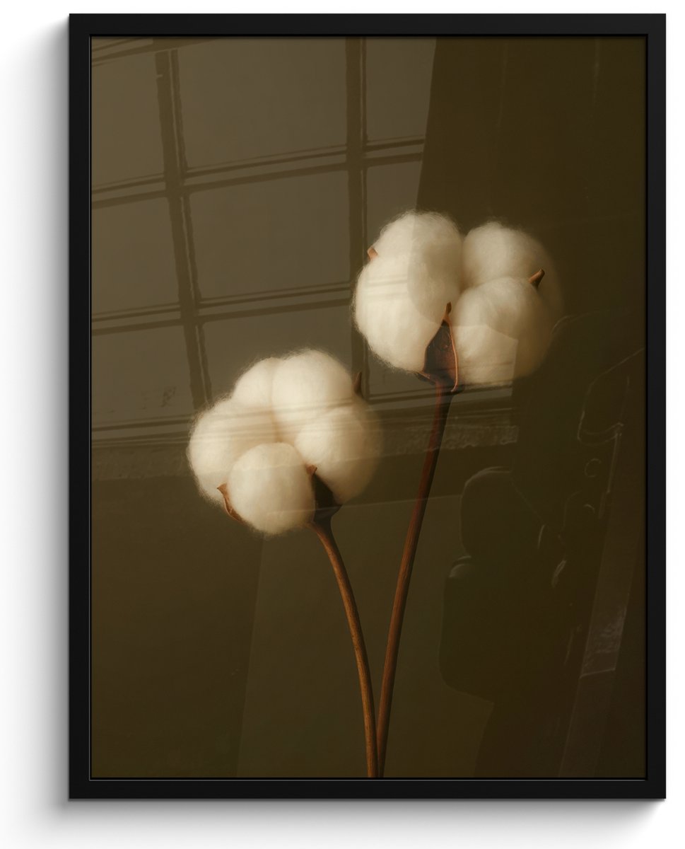 FrameYourWall Poster in lijst - Fotolijst 50x70 cm - Posters - Takken - Katoen - Wit - Bollen - Posterlijst zwart - Decoratie - Wanddecoratie woonkamer - Muurdecoratie slaapkamer