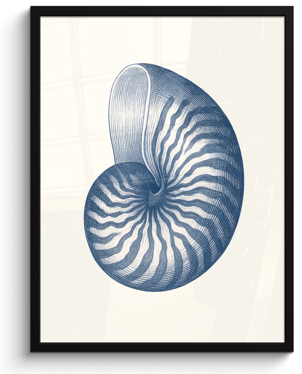 FrameYourWall Poster in lijst - Fotolijst 50x70 cm - Posters - Blauw - Schelp - Spiraal - Posterlijst zwart - Decoratie - Wanddecoratie woonkamer - Muurdecoratie slaapkamer Schelp - Blauw