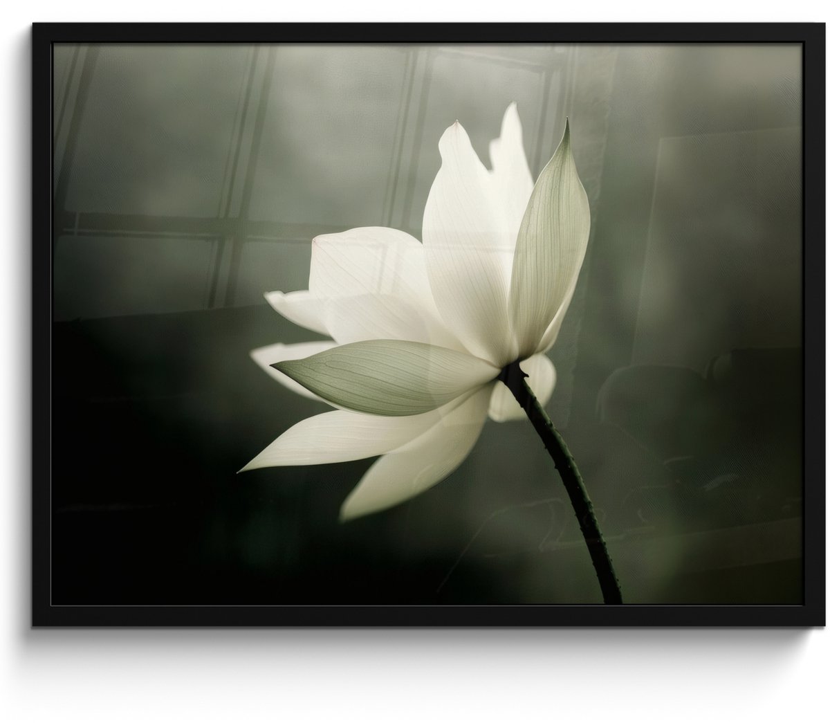 FrameYourWall Poster in lijst - Fotolijst 70x50 cm - Posters - Wit - Lotus - Donker - Bloem - Posterlijst zwart - Decoratie - Wanddecoratie woonkamer - Muurdecoratie slaapkamer Lotus - Bloem