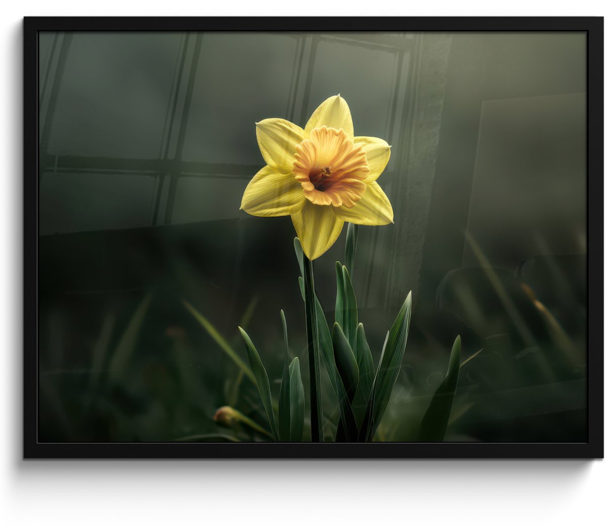 FrameYourWall Poster in lijst - Fotolijst 70x50 cm - Posters - Bloem - Narcis - Gras - Geel - Posterlijst zwart - Decoratie - Wanddecoratie woonkamer - Muurdecoratie slaapkamer
