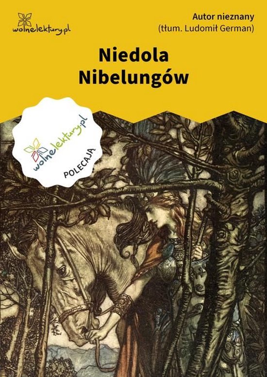 Niedola Nibelungów - cover