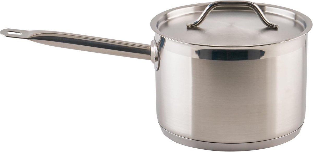 RVS Steelpan met Deksel - Duurzaam Roestvrijstalen Kookpan