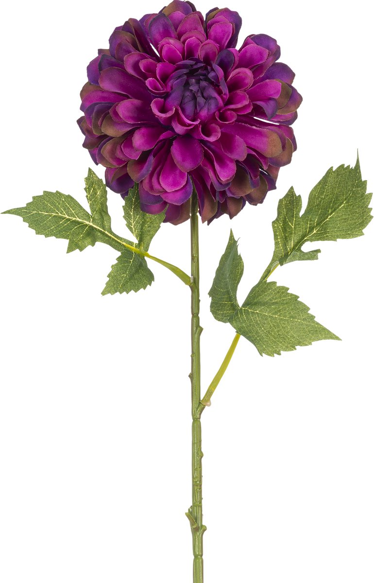 Easyplants | Kunstbloem Dahlia 50 cm paars | Zijde | Nepbloemen | paars | Onderhoudsvrij | Kant-en-klaar