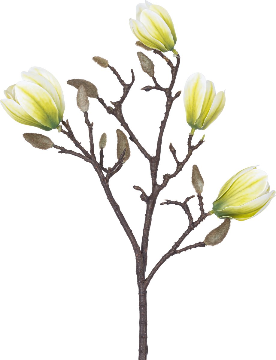 Easyplants | Kunstbloem Magnolia 50 cm wit/groen | Zijde | Nepbloemen | groen | Onderhoudsvrij | Kant-en-klaar