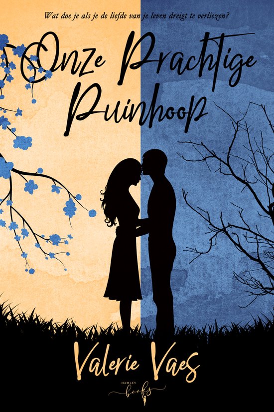 Onze prachtige puinhoop - cover