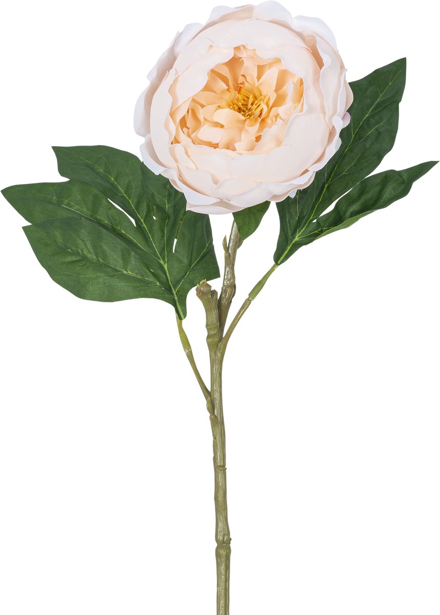 Easyplants | Kunstpioen Real Touch Crème Wit 58cm | Zijde | Nepbloemen | wit | Onderhoudsvrij | Kant-en-klaar