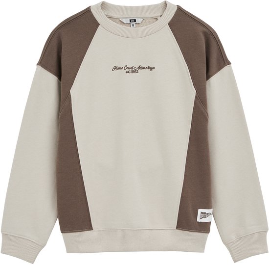 WE Fashion Jongens sweater met colourblock
