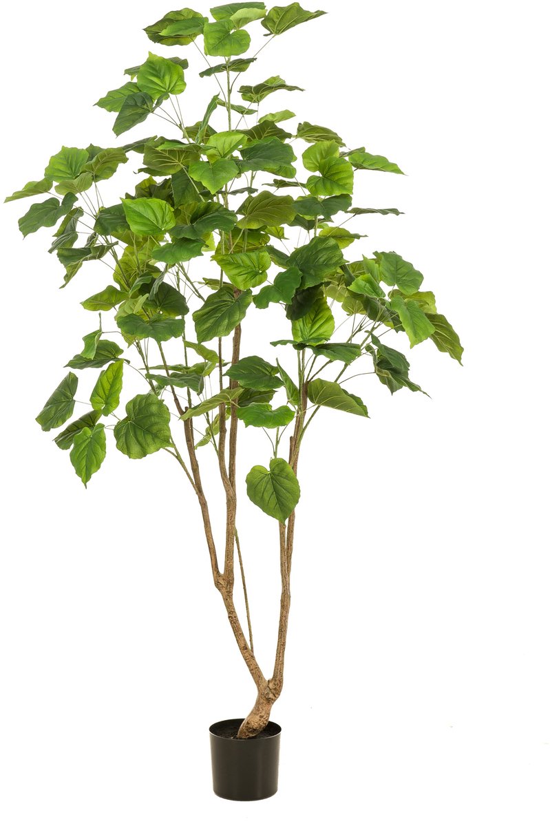 Emerald Kunstplant Ficus Umbellata - Textiel / Metaal - Groen - 85x180x85 cm (BxHxD)