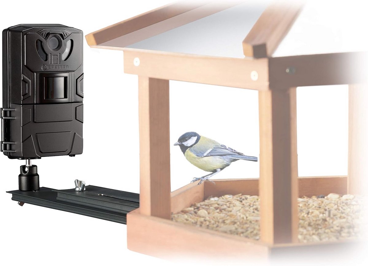 Wildcamera voor Vogels en Kleine Dieren - Hoge Resolutie Dag & Nachtopnames