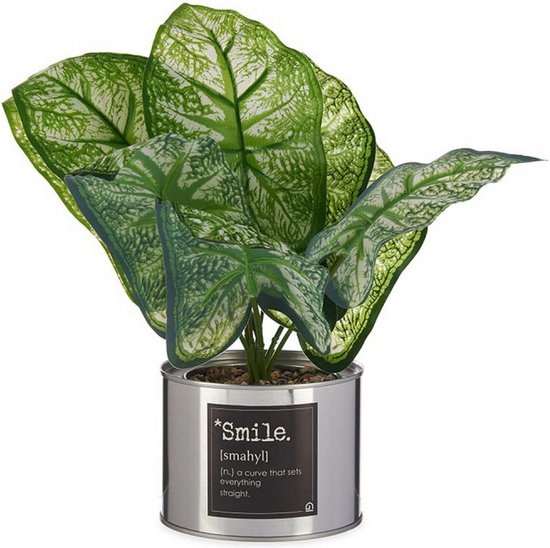 Decoratieve plant Smile Ziverachtig Blik Metaal Plastic (26 x 26 x 26 cm)