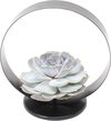 Succulent lila, Tafeldecoratie ring