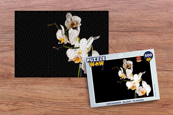 Puzzle Orchidée - Fleurs - Plantes - Botanique - Puzzle - Puzzle 500 pièces