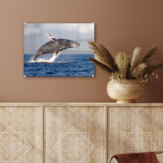 ® Glasschilderij 40x30 cm - Schilderij acrylglas - Een bultrug springend uit het water - Foto op glas - Muurdecoratie woonkamer - Wanddecoratie slaapkamer - Schilderijen