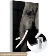 MuchoWow® Glasschilderij 40x60 cm - Schilderij acrylglas - Olifant met grote slagtanden - Foto op glas - Schilderijen