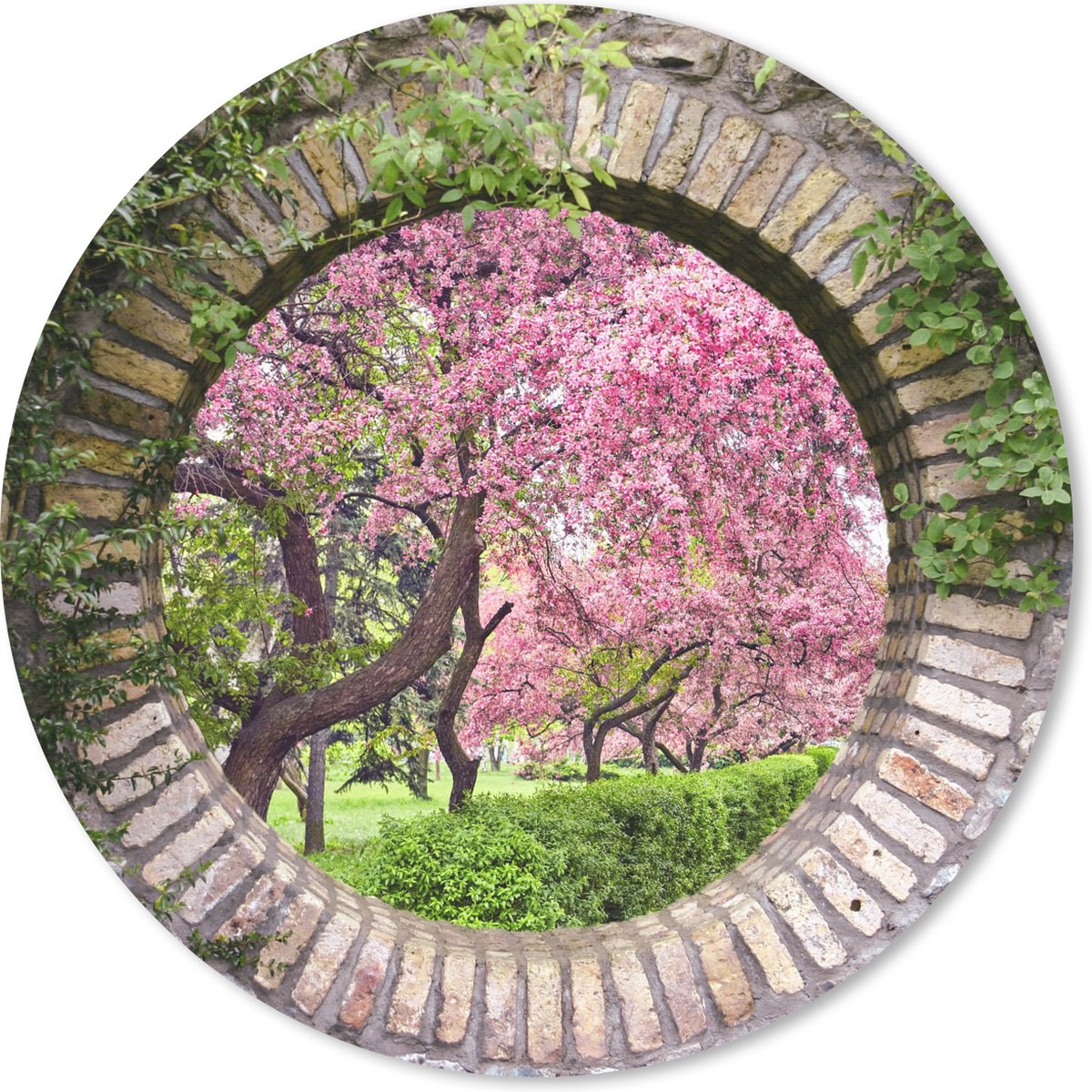 Muismat rond 40x40 cm - Mousepad Doorkijk - Sakura - Bloesem - Japans - Ronde muismatten