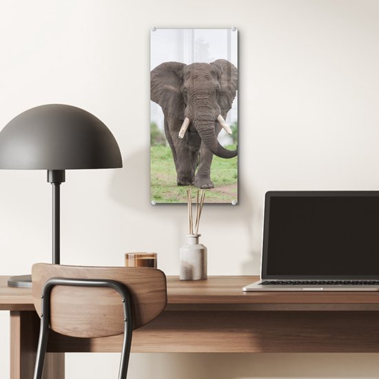 MuchoWow® Peinture sur verre 20x40 cm - Peinture sur verre acrylique - Éléphant - Animaux - Herbe - Nature - Photo sur verre - Peintures