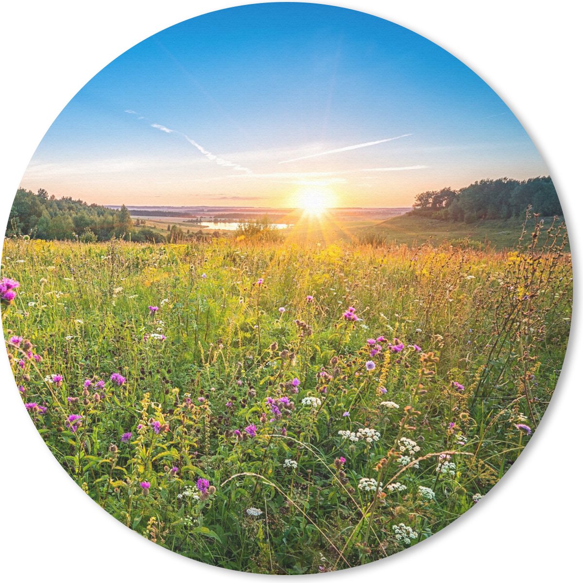 Muismat rond 40x40 cm - Mousepad Zon - Gras - Bloemen - Ronde muismatten
