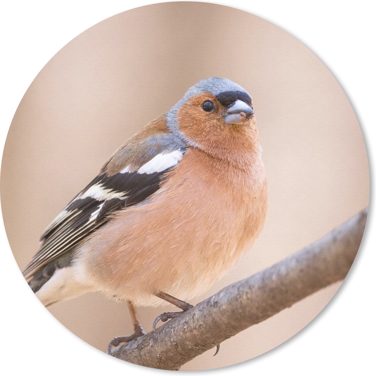 Muismat rond 20x20 cm - Mousepad Vogel - Dieren - Vink - Ronde muismatten
