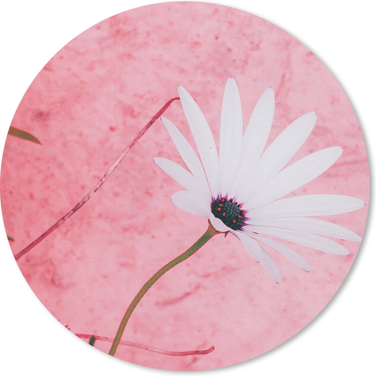 Muismat rond 20x20 cm - Mousepad Bloemen - Roze - Vintage - Ronde muismatten